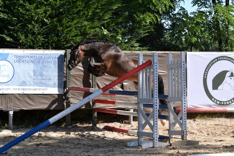 Danae-du-Vent-Ph.-Jeanne-Veillerot-Photographies