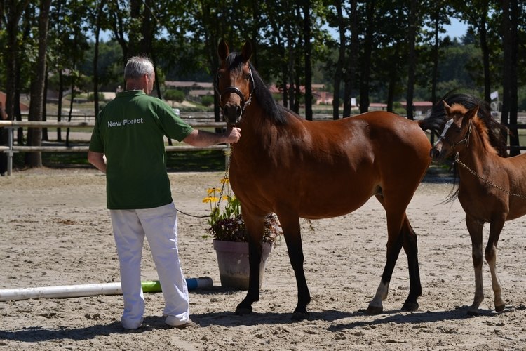 Valse-de-Lagesse-Jeanne-Veillerot-Photographies-2