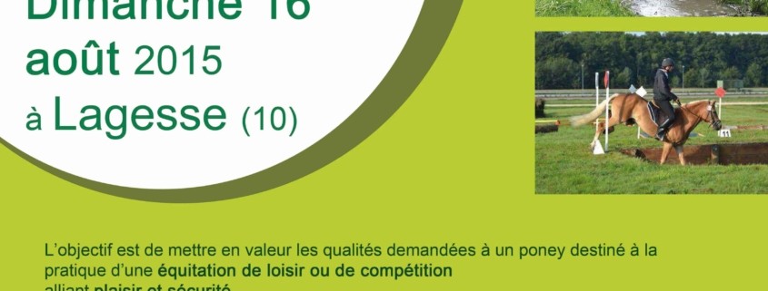Qualifications Mondial 2018 : les Bleus impuissants face ...