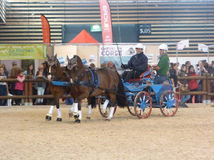 Equita'2016