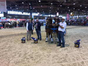 Trophée Elite