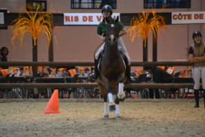 Equita'2016_2