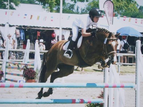 Open_2016 Jacodi's Brasy's Bella- ph. coll. priv+®e