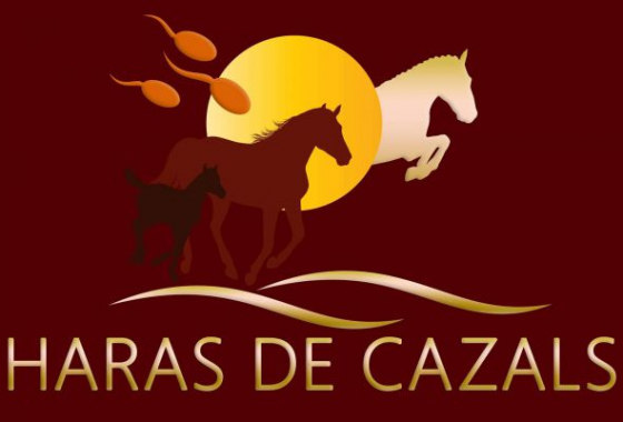 Haras de Cazals photo