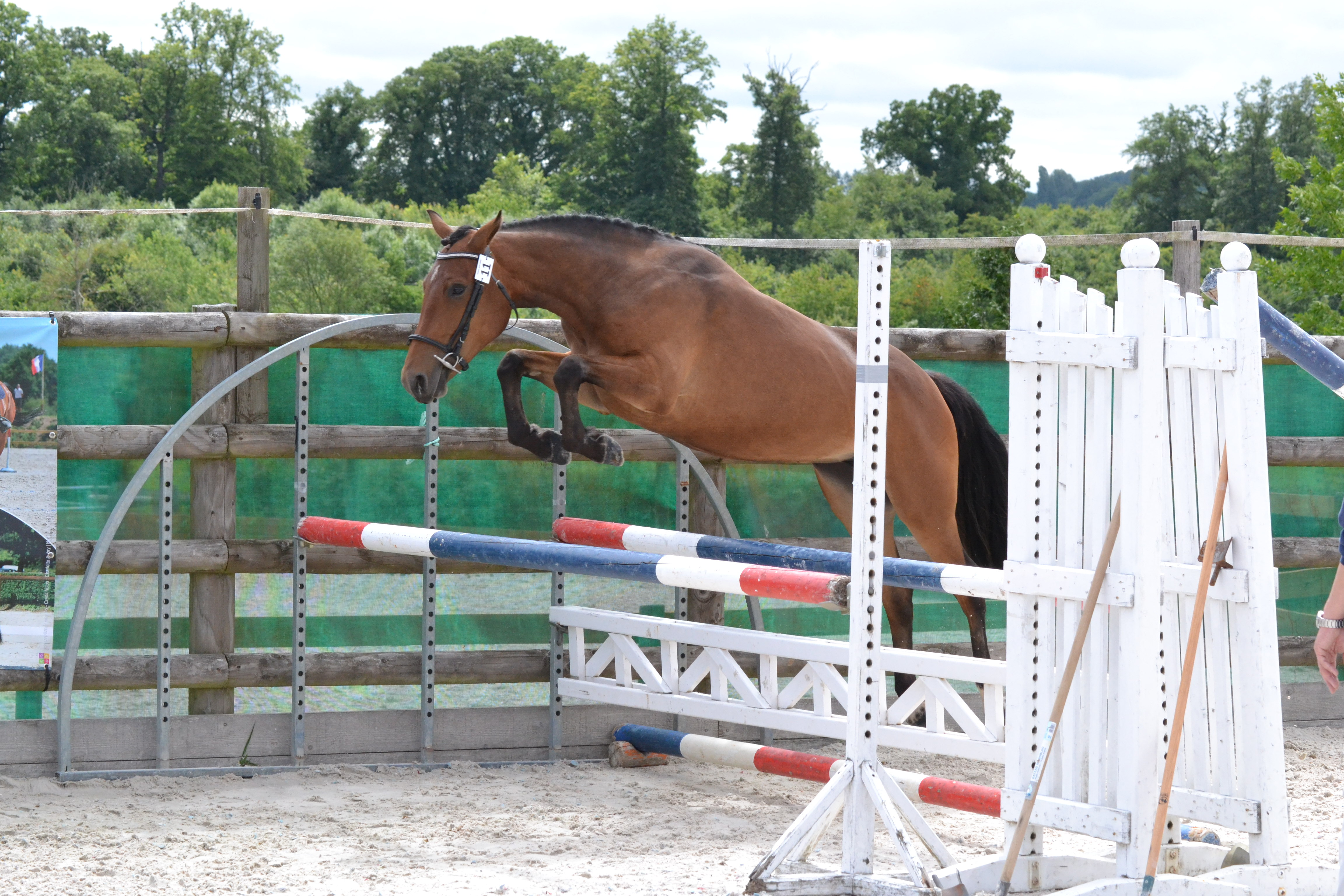 fleurdefegrol_DSC_0948_creditjeanneveillerot-afpnf