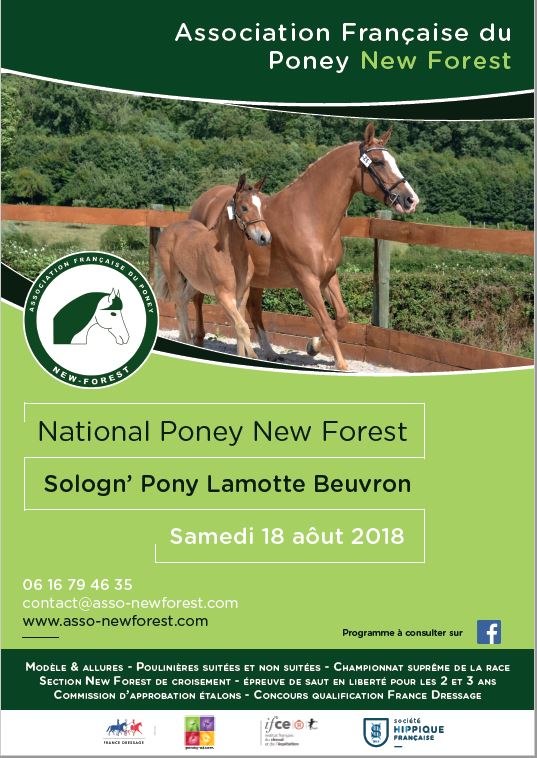 affiche_format_image