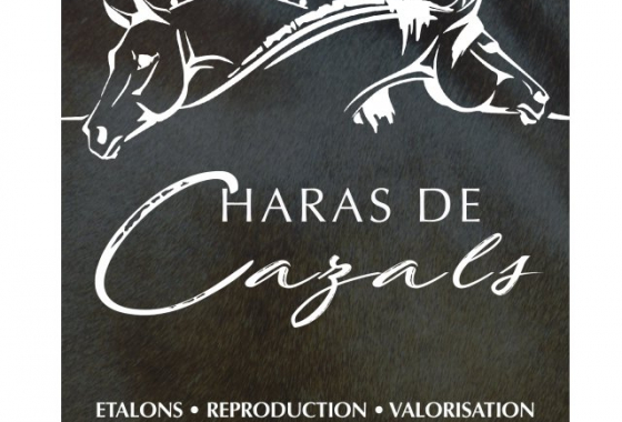 Haras de Cazals photo